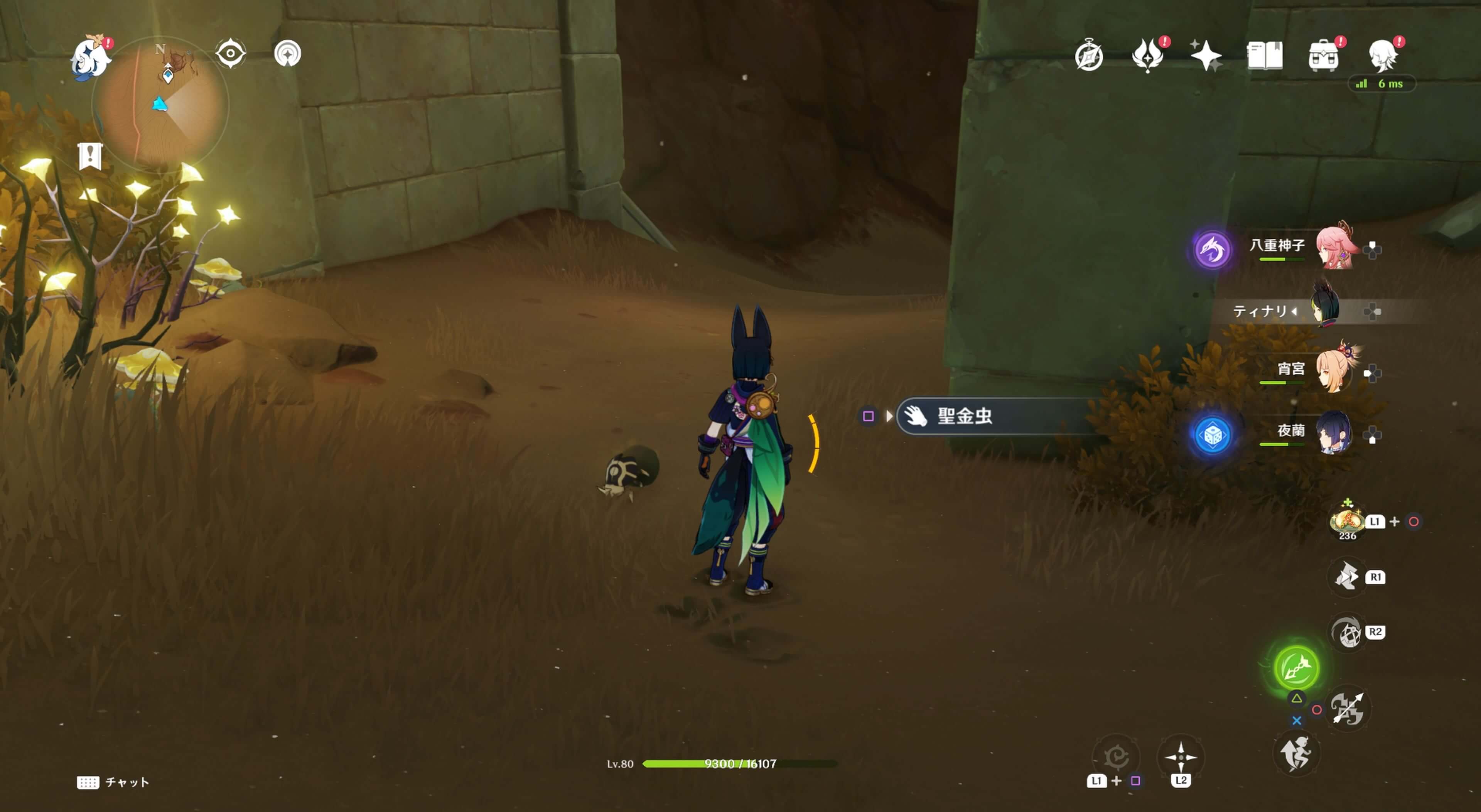 地下の見えない壁がある遺跡の中