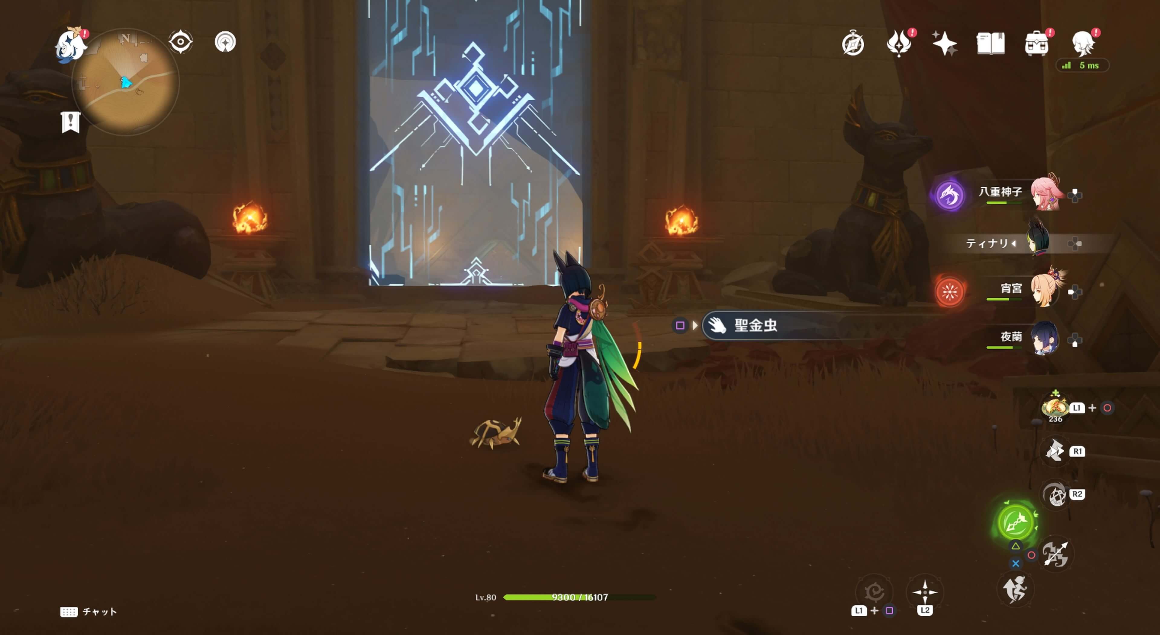 プライマルギミックで封じられた扉の前