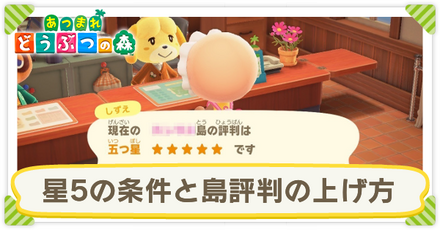 星5サムネ.png