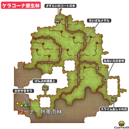 ケラコーナ原生林画像