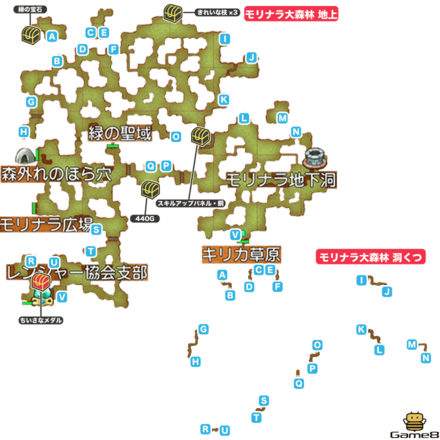 モリナラ大森林画像