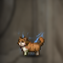 猫(茶)
