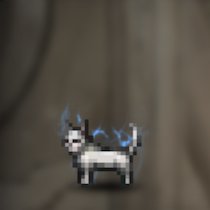 猫(白)