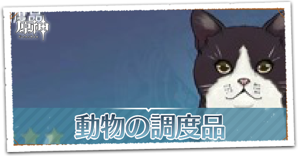 動物