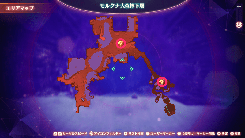 モルクナ大森林下層