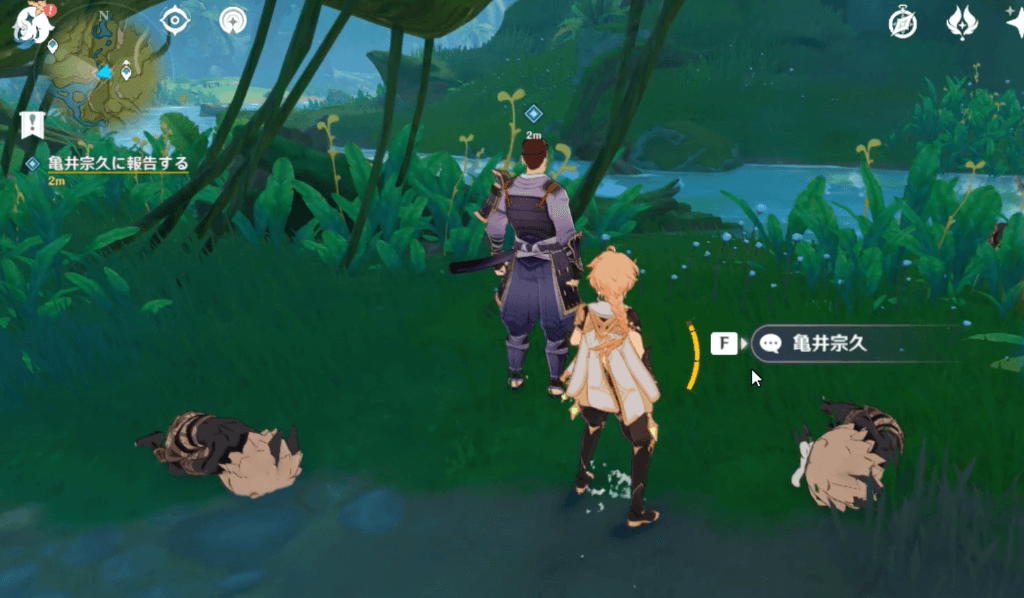 ハッラの実の報告