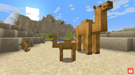 ラクダが追加される