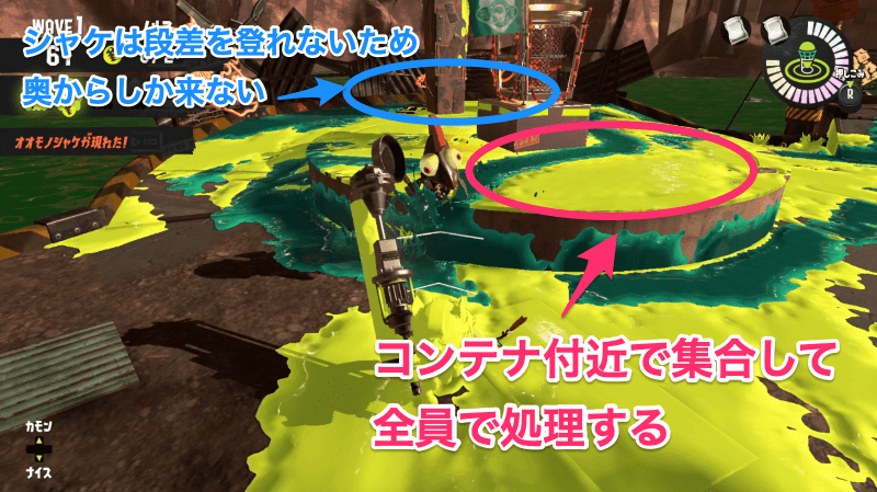 アラマキ砦ヒカリバエ