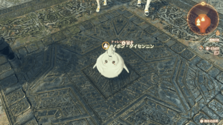 ノポンダイセンニンの見た目