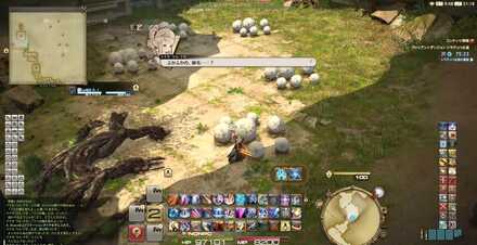 ふかふかの綿毛を全て潰すと分岐