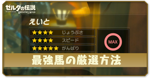 最強馬の厳選方法