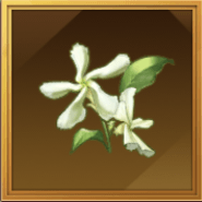 テイカカズラ画像