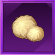 ヤマブシタケ画像