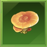 アマニータ画像