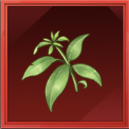 マイハギ画像