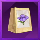 ブーゲンビリアの種画像