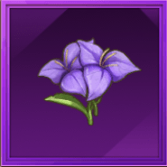 ブーゲンビリア画像