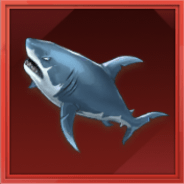 ホホジロザメ画像