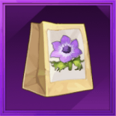 紫アネモネの種画像