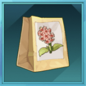 ピンクヒヤシンスの種画像