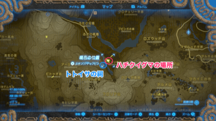 ハチクイグマのマップ詳細