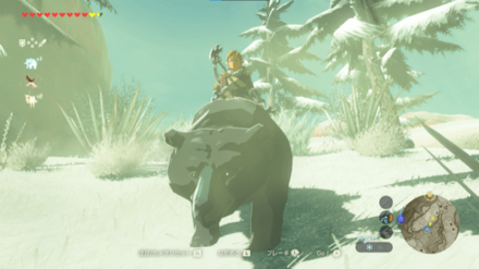 コウテイヒグマ