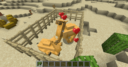 サボテンで繁殖できる