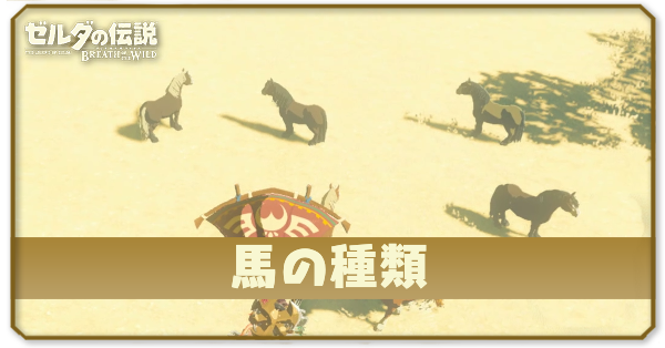 馬の種類