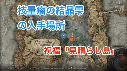 技量瘤の結晶雫のマップ画像