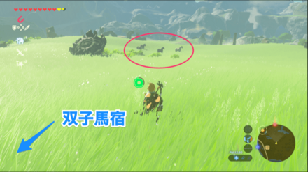 双子馬宿付近の馬