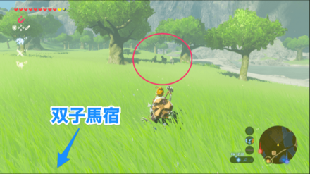 双子馬宿付近の馬