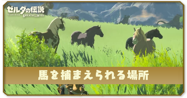 馬を捕まえられる場所|馬の捕まえ方