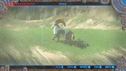 ヤギのバターの入手場所マップ