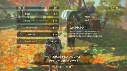 ミナッカレ馬宿のテリー