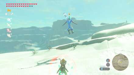 フリーズウィズローブの見た目