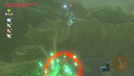 フリーズウィズローブの見た目