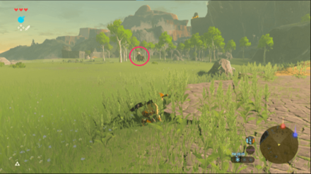 始まりの台地の白髪ライネル