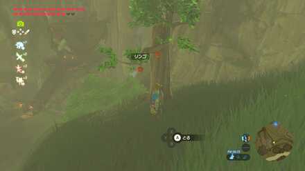 リンゴの入手場所見た目