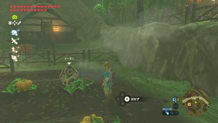 ヨロイカボチャの入手場所見た目