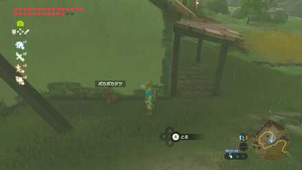 ポカポカダケの入手場所見た目