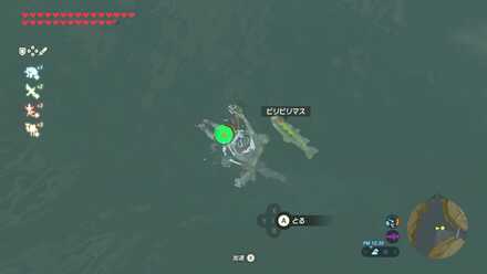 ビリビリマスの入手場所見た目