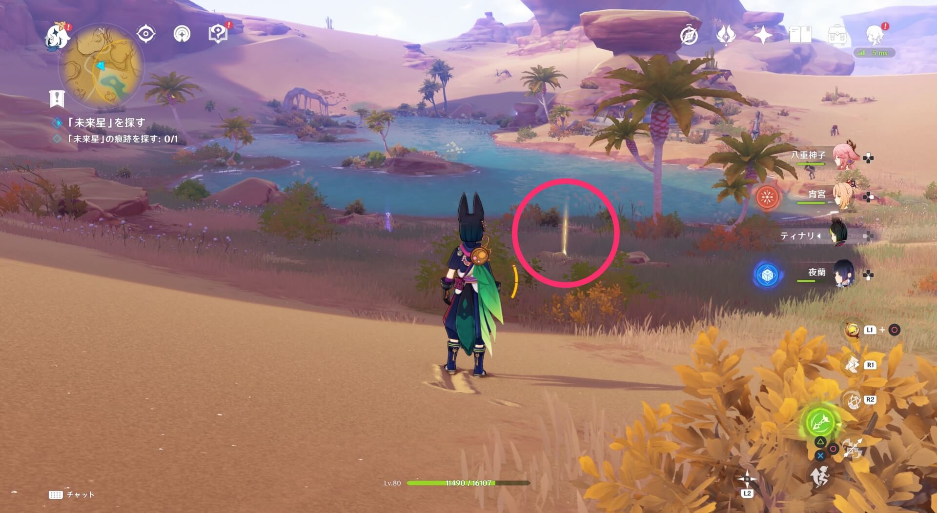 探索エリア内にあるオアシスの近く