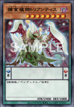 捕食植物トリアンティス画像