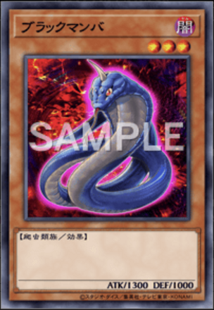 ブラックマンバ画像