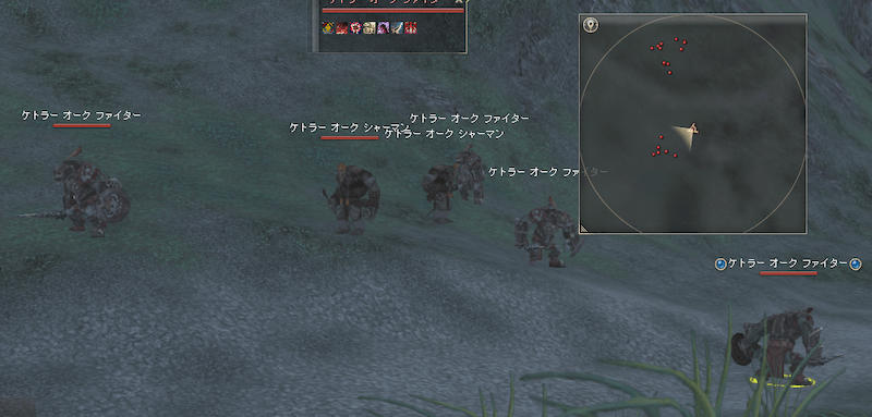 一般狩り場なのでソロでも利用可能