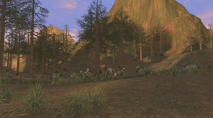 スクールオブコンピタンス