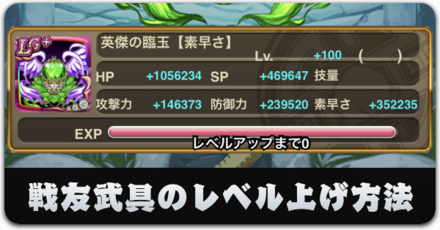 戦友武具のレベルアップ