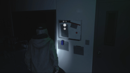 菌根に関する仮説