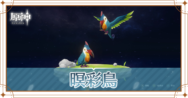 暝彩鳥の入手場所と使い道