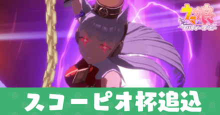 スコーピオ杯追込